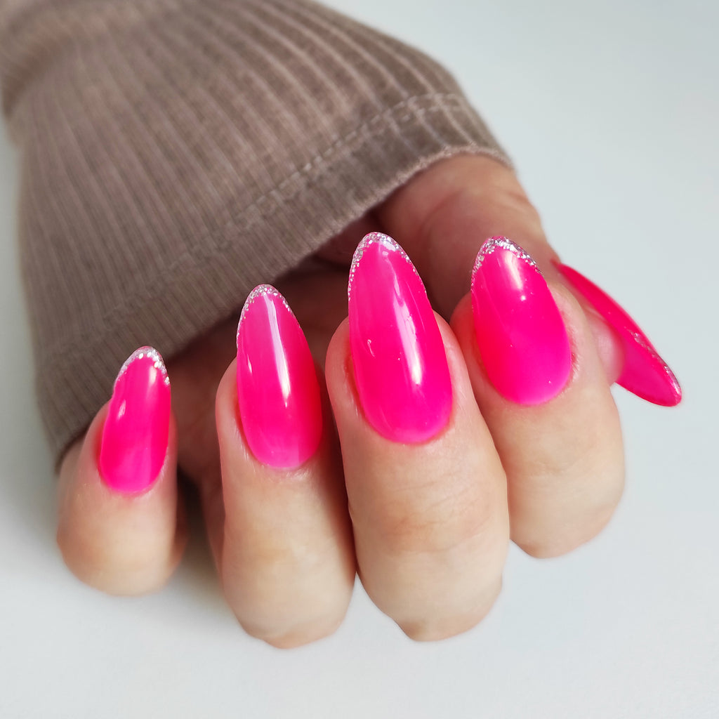 Fuchsia à pointe argentée